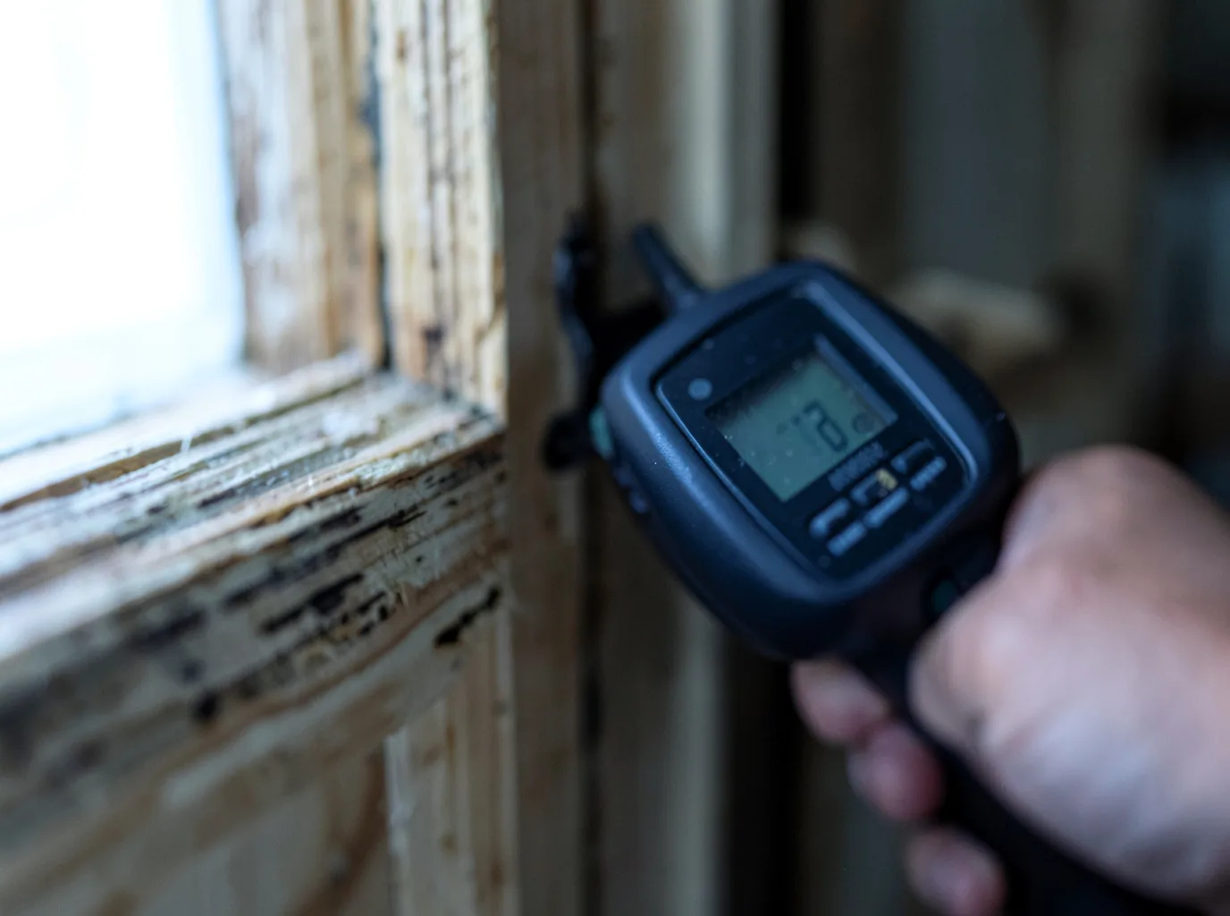 Water Damage Restoration Palisade, CO FAQs